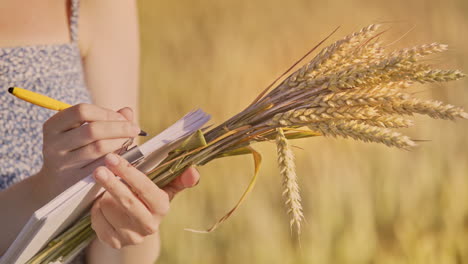 vrouwelijke hand houdt tarwe stengel en het schrijven van notities. agro-business onderzoek