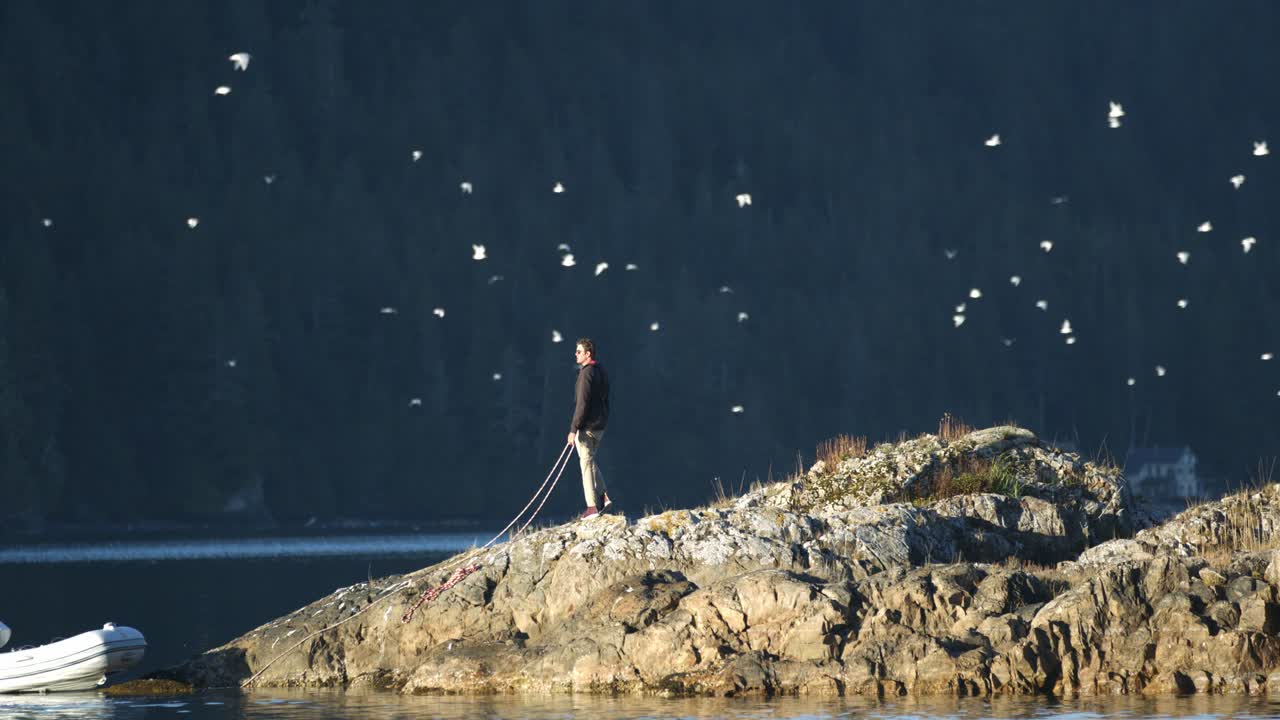 화창한 날 해안가를 날아다니는 새 떼, 느린 동작