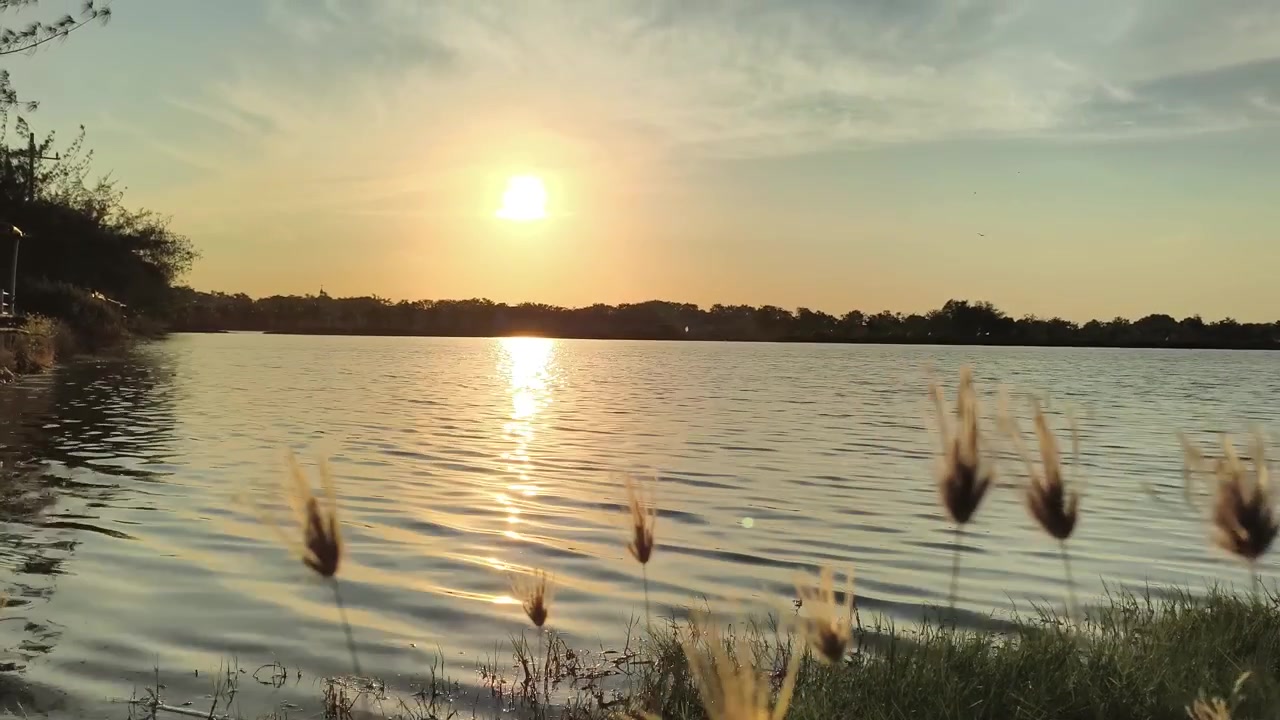 Tramonto dorato su un lago calmo con erba in primo piano