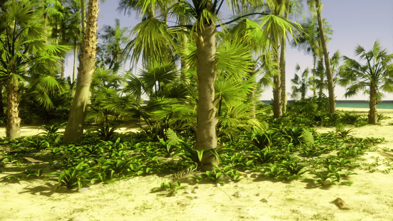 Lush tropical landscape with palm trees near a serene beach setting