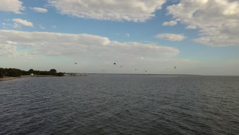 cometas, pájaros, día de diversión en la playa de peces en tamp bay en florida