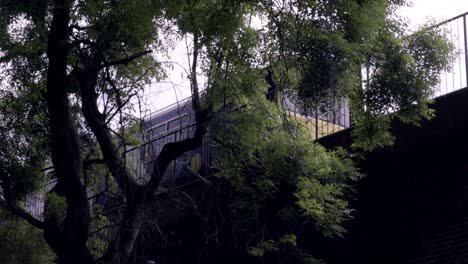 Tren-Que-Pasa-Por-La-Vía-En-El-Puente-Sobre-La-Carretera,-Al-Nivel-De-Las-Copas-De-Los-árboles-2