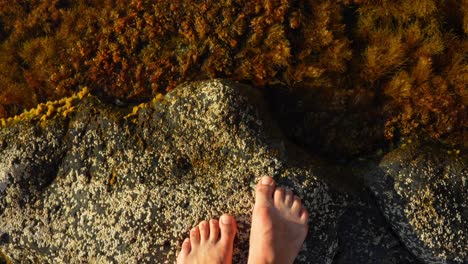 persona saltar sobre las rocas con el crecimiento de algas en agua dulce bellow