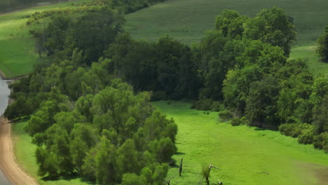 lush green trees and grassland next to a calm river, aerial view