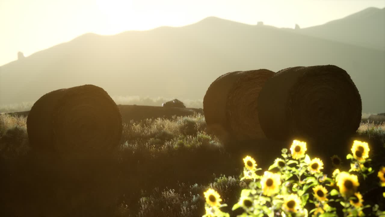 fardos de heno en la puesta de sol