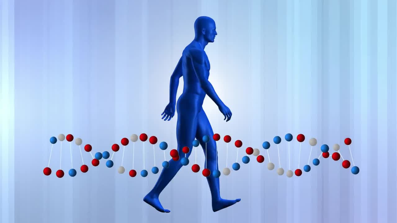 인간 모델과 dna