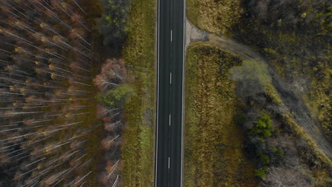 aerial, rising, drone shot, above cars on a dark, asphalt road, between pine trees and leafless, birch forest, on a sunny autumn day, in juuka, north karelia, finland