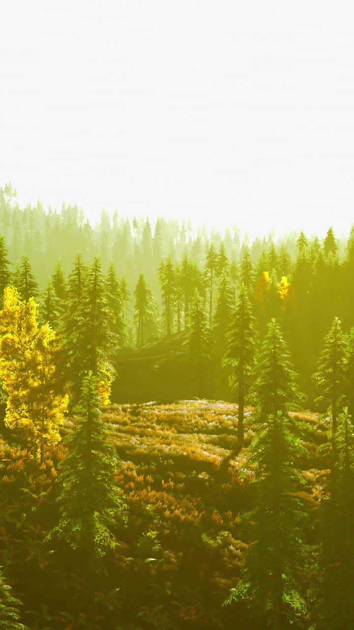 그림의 중앙에 황금색 나무가 있는 아름다운 숲의 장면입니다.