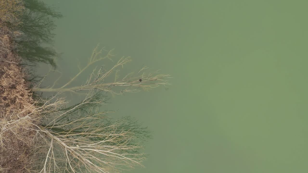 Aerial – Cinematic slider overhead shot from left to right above a lake with islands and herons