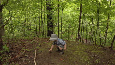 little boy exploring nature in a forest