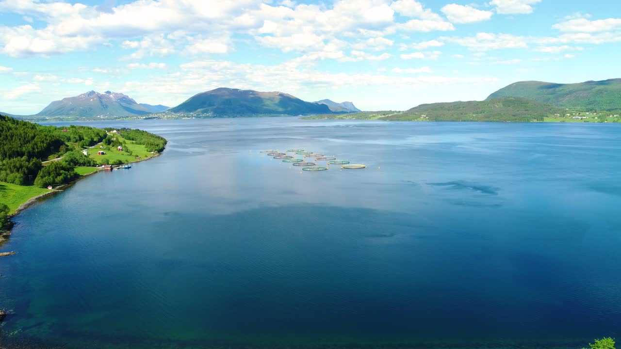 노르웨이에서 연어  ⁇ 시를 하는 공중 촬영