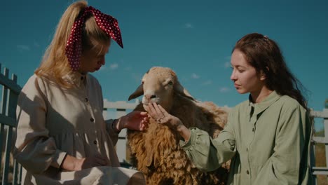 two women interacting with a sheep