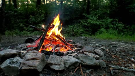 Ein-Lagerfeuer-In-Der-Red-River-Gorge