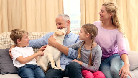 familia feliz acariciando a un labrador en el sofá