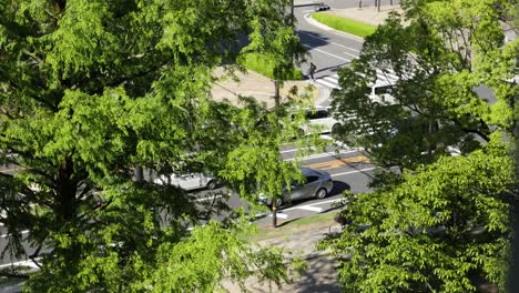 time lapse of traffic at an intersection in hiroshima