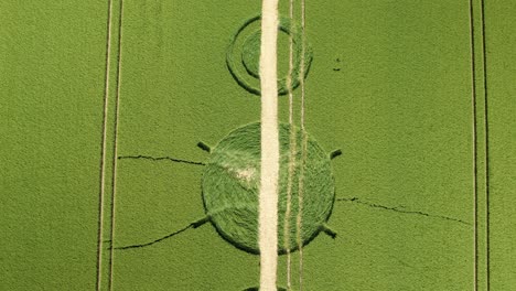 Aerial-view-descending-over-Winterbourne-Bassett-crop-circle-destroyed-harvested-Wiltshire-pattern