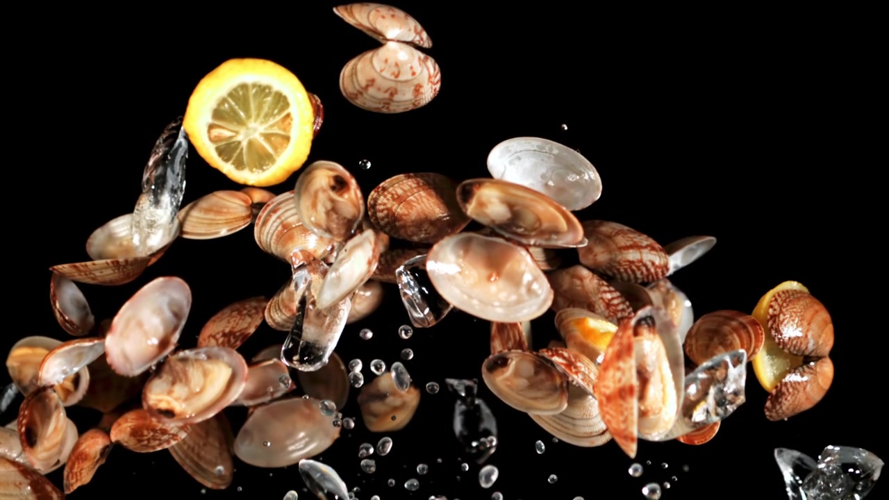 Frische Muscheln, Muschelschalen und Zitrone spritzen in Zeitlupe mit Wasser.