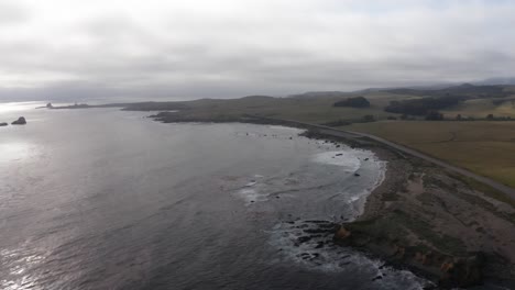 Wide-aerial-dolly-shot-of-the-Northern-Elephant-Seal-Rookery-in-San-Simeon,-California