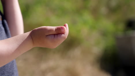un niño extendiendo su mano