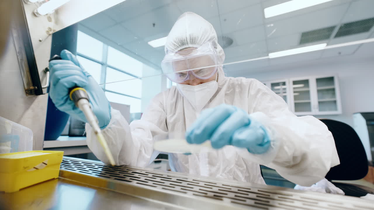 ciencia, pantalla de seguridad y persona con placa de petri