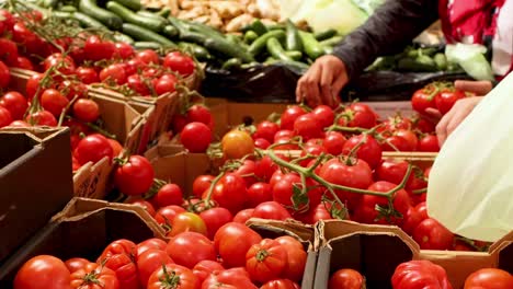 close-up of a hand selecting ripe tomatoes from a market stall, surrounded by fresh produce.