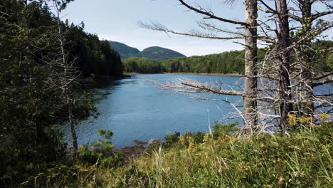 wilderness views in acadia national park, maine, usa, static shot