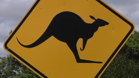 a kangaroo cross road sign stand near trees 1