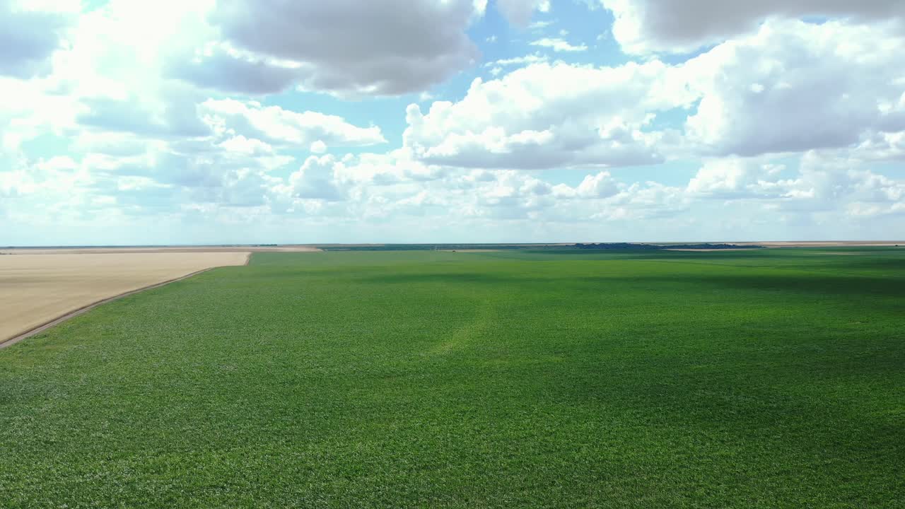 Country Road Through Corn Fields - aerial pullback
