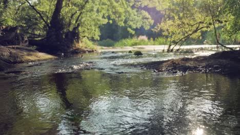 Fresh-river-stream-flowing-down-among-magical-forest-landscape,-Peaceful-nature