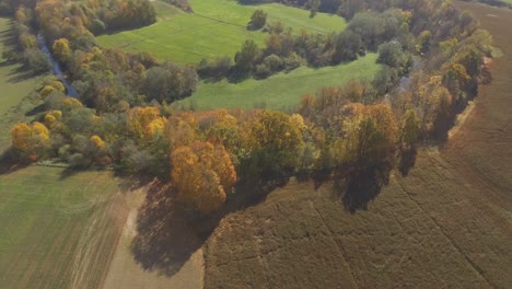 the river meanders among the trees on a sunny autumn day-3