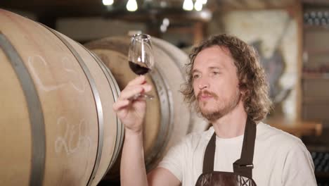 adult man winemaker at winery checking glass looking quality while standing between the barrels in the cellar controlling wine making process - real people traditional and industry wine making concept