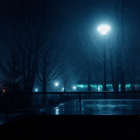 little baby wearing warm clothes and cap running outdoors at night. city street lamps and garlands are lit at backdrop.