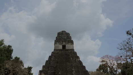 zoom of top of big jaguar temple pyramid. tikal ruins in guatemala. ancient maya civilization architecture
