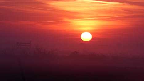 el amanecer sobre un prado brumoso