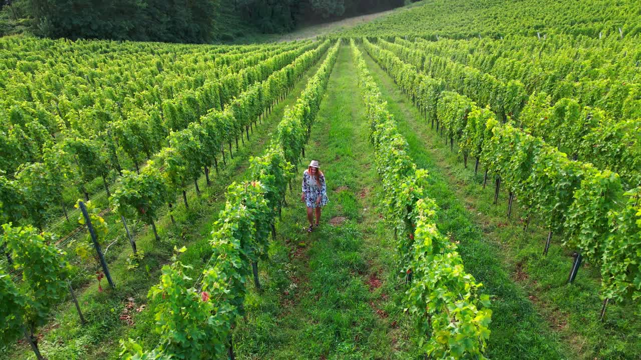 Splendide riprese con drone di una donna caucasica con cappello di lana e vestito che cammina tra i vigneti di Jeruzalem, ammirando i dintorni.