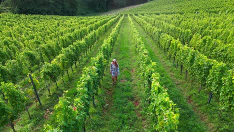 Stunning-drone-footage-of-a-white-Caucasian-woman-with-a-knitted-hat-in-a-dress-walking-through-vineyards-of-Jeruzalem-and-admiring-the-surroundings