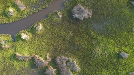 downward angle drone shot of salt marsh early in the morning