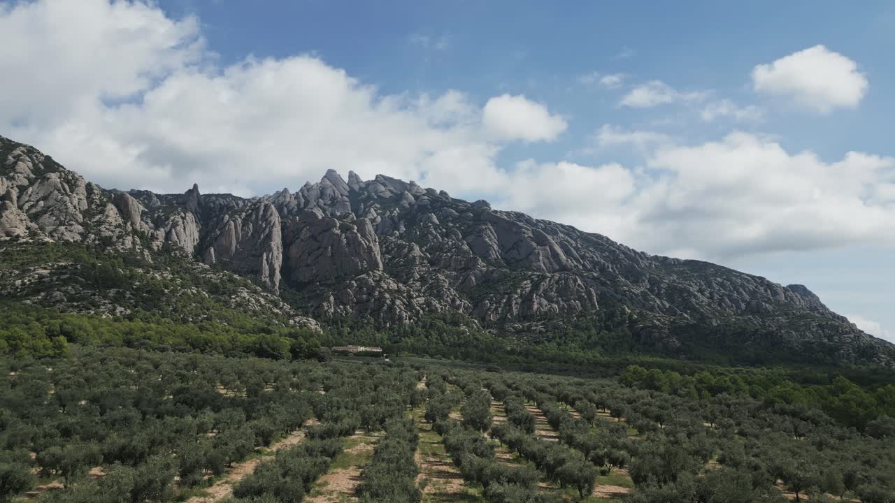 Dramatic aerial perspective of the impressive montserrat mountain range in catalonia, spain, with lush olive groves extending towards the rocky peaks under a picturesque blue sky with clouds