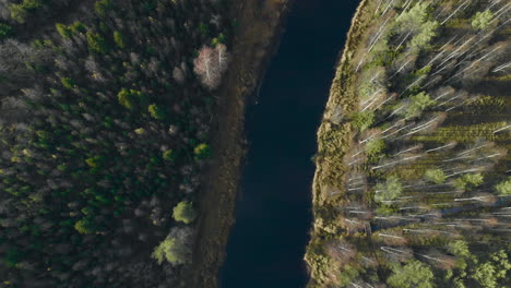 aéreo, destornillador decreciente, disparo de dron, sobre un río, rodeado de bosque otoñal, en un frío, soleado, día de otoño, en juuka, karelia del norte, finlandia