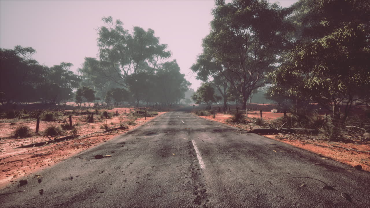 높은 숲을 따라 가는 직선 경로 표시