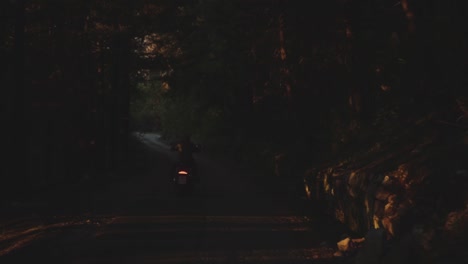 motorcycle ride through a dark forest at sunset