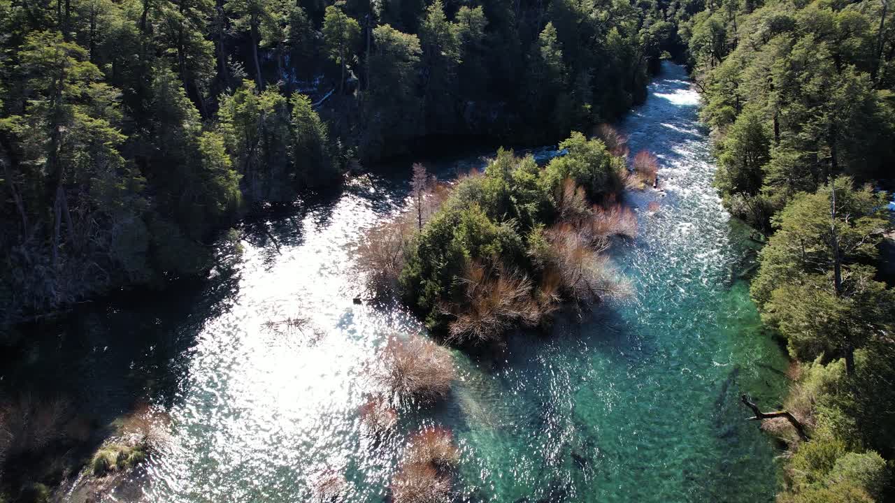 Isola fluviale in mezzo alla foresta, vista aerea con drone