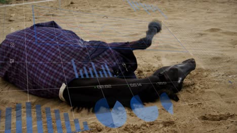 animación de las estadísticas y el procesamiento de datos sobre el caballo