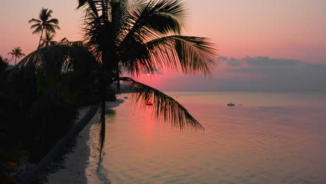 Silhouette-of-palm-tree-above-peaceful-beach-in-Bali-at-crimson-sunset