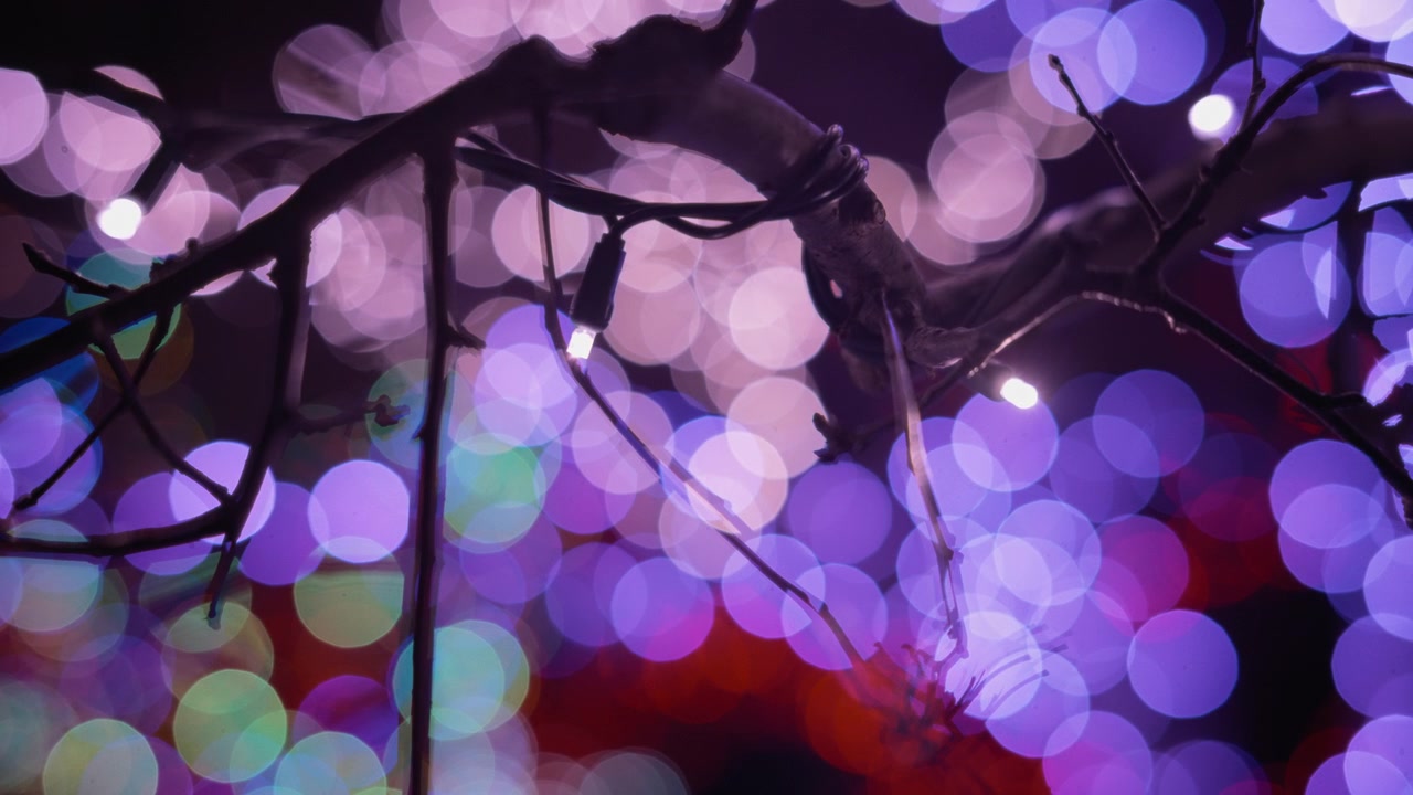 Farverige festlige bokeh-lys på træer