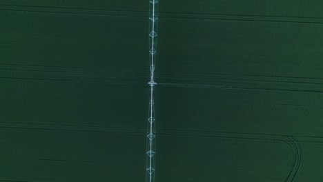 above view of automatic sprinkler irrigation in vast green fields. aerial topdown shot