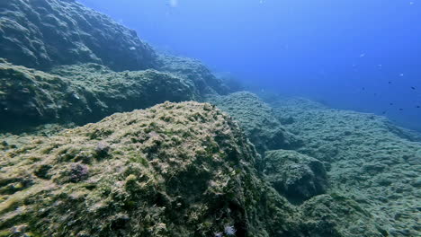 pov shot de buceo bajo aguas profundas