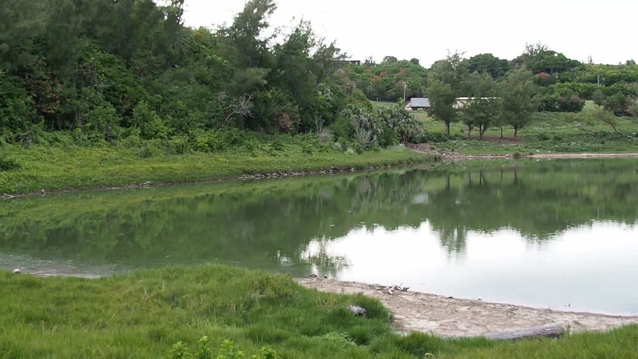 spittal 연못은 버뮤다 자연 보호 구역 중 하나입니다.