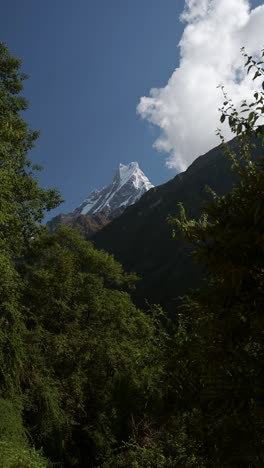 himalayas mountains and green trees in nepal, vertical video for social media instagram reels and tiktok of annapurna mountains and lush greenery himalaya foothills scenery with snowcapped summit