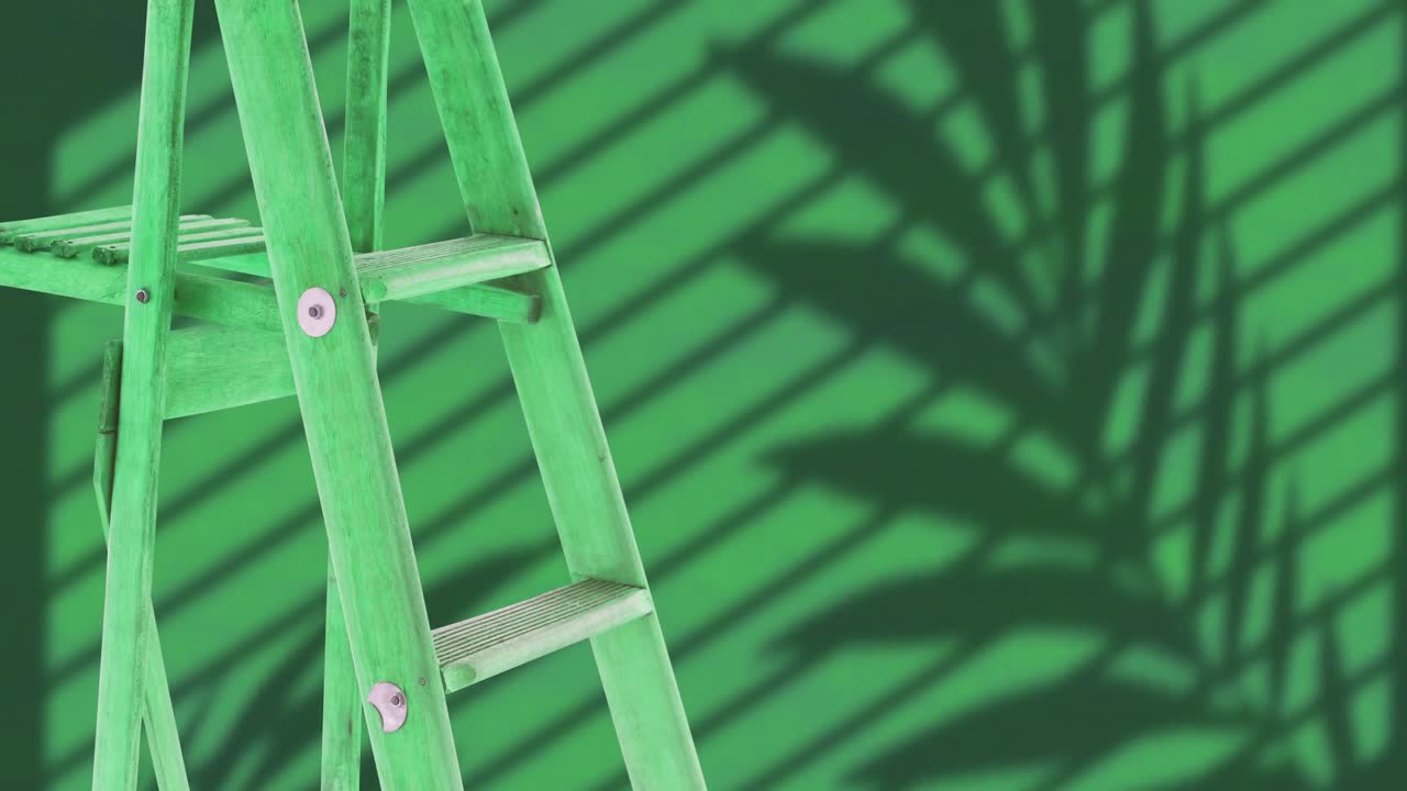 animación de una escalera sobre la sombra de una hoja sobre un fondo verde